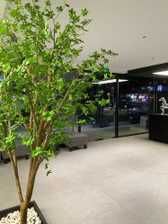 -付军剪艺JF ProSalon