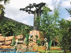 -苏州乐园森林水世界