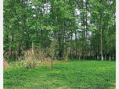 -桤木河湿地公园