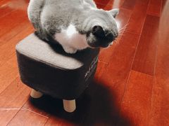 -大玩家(芝罘万达广场店)