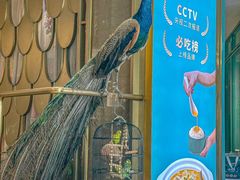 -雀蓝川菜(星悦汇店)