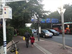 -裕丰西湖干菜饼