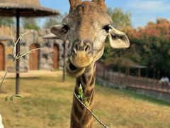 -济南野生动物世界