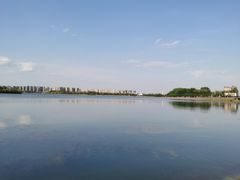 -丁香湖公园