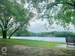 -上海共青森林公园