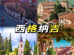 -万荣烤鸭店·北京菜(农光里店)