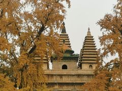 -北京石刻艺术博物馆(五塔寺)