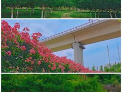 -白鹭湾湿地公园