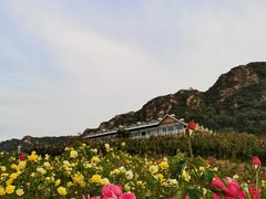 -密云玫瑰情园