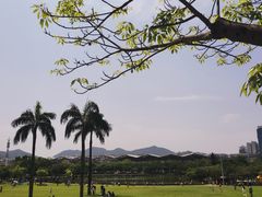 -紫马岭公园