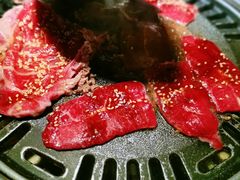 -猫爪爪原切自助烤肉(观音桥阳光世纪店)