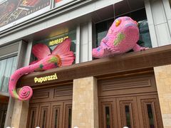 -帕帕拉兹宠物(亚洲旗舰店)