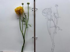 -八哥美术·成人美术画室(总校区)