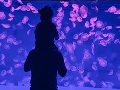 -哈尔滨波塞冬海底世界