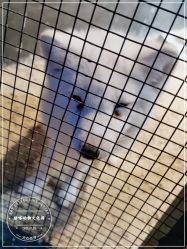 -酷嗒动物文化乐园(cutezoo西溪乐天城店)