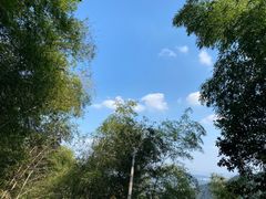 -午潮山国家森林公园