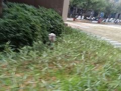 -巢爷老味(东方红店)