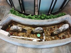 -湘芙蓉·湖南菜(椒江店)