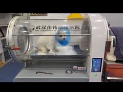 -伟伟宠物医院·CT影像中心·瑞派犬猫综合性门诊(汉口总院)