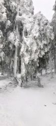 -圣名游乐城冰雪大世界