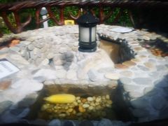 -宜春明月山维景国际温泉度假酒店