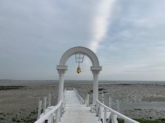 -北海金海湾红树林生态旅游区