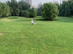 -长白岛森林公园