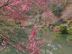 -杭州植物园