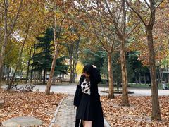 -山东艺术学院(长清校区)