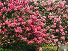 -杭州城北体育公园