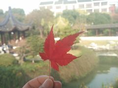 -苏州吴宫泛太平洋酒店