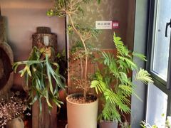 -一坐一忘云南菜(三里屯店)