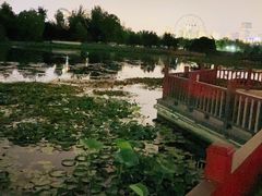 -天津水上公园