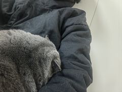 -美联众合动物医院·24h京西诊疗中心