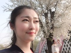 -太阳部落