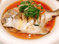 -苏启渔港(云南北路店)