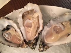 -Oyster Talks 四度蚝法餐厅