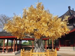 -广东圆玄道观
