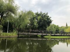 -泰州凤城河风景区-泰山公园