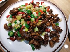 -蒙阴光棍鸡(新石中路店)