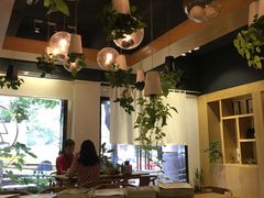 大堂-柴务处·柴犬主题狗咖