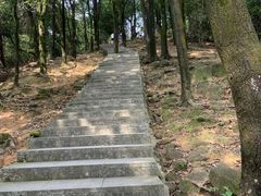 -火炉山森林公园
