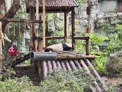 -泉州海丝野生动物世界
