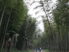 -黄公望隐居地