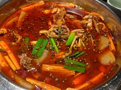 -宽口美蛙鱼头(大唐西市店)