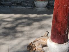 -高旻寺