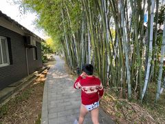 -林丰温泉度假山庄