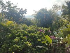 -荷花温泉