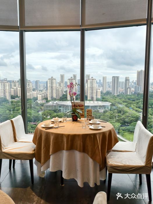 安乐茶饭·手工素菜·高空景观餐厅(千灯湖店)图片