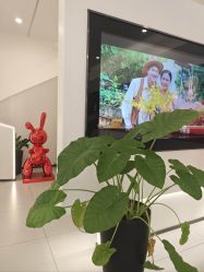 -玛瑞莎·儿童·亲子摄影(越秀店)